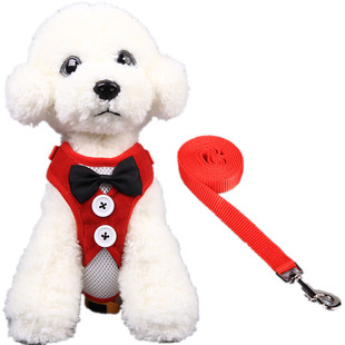 小狗链狗狗牵引绳猫胸背带遛狗链子小型犬中型狗绳子泰迪宠物用品