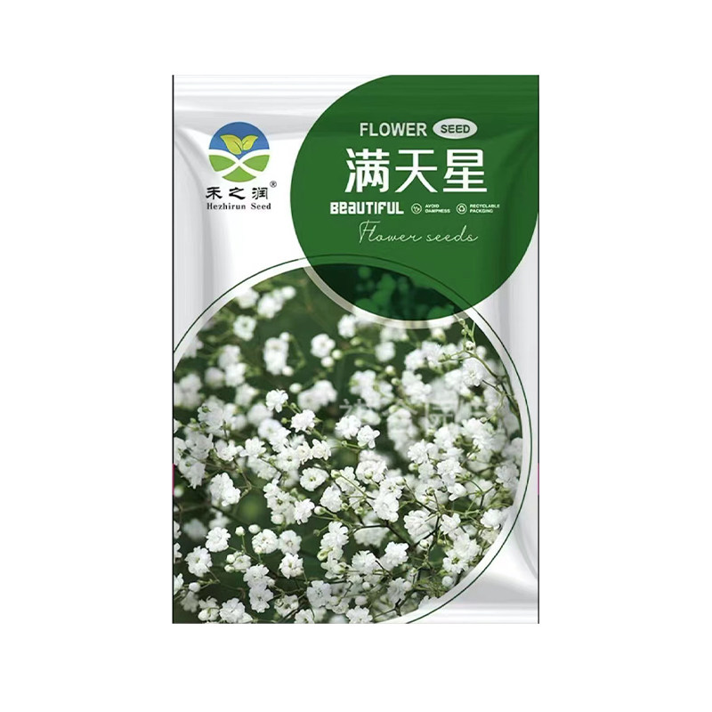 云南春秋播阳台白色细小石头花籽
