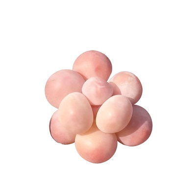 多肉植物组合小盆栽套餐群生多头老桩高端精品办公室阳台桃蛋玉露