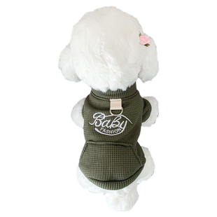 狗狗过年衣服宠物幼犬秋冬加厚棉衣泰迪博美比熊新年牵引保暖卫衣