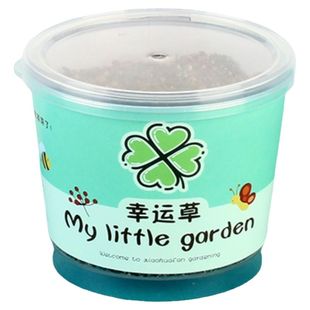 儿童活动奖励创意DIY种植盆栽小礼品幼儿园送全班生日分享礼物