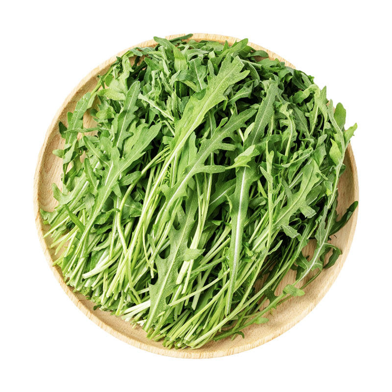 新鲜芝麻菜火箭菜沙拉套餐食材
