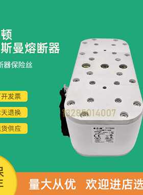 议价全新快速熔断器保险170M7184 170M7185 170M7186 170M7187