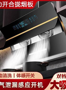 真美抽油烟机家用大吸力双电机油烟机小户型出租屋弧形侧吸油烟机