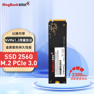 512G M.2 金百达 KP230 622759160853kingbank 固态硬盘 other