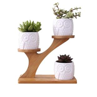 桌面多层多肉小花架飘窗台阳台客厅办公室桌面创意迷你花盆竹架子