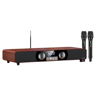 索爱SA-205回音壁音箱家庭影院ktv全套话筒家用客厅电视唱K歌音响