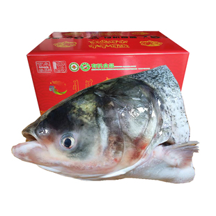 查干湖大鱼头1至18斤1只标切净膛真空有天然有机顺丰包邮