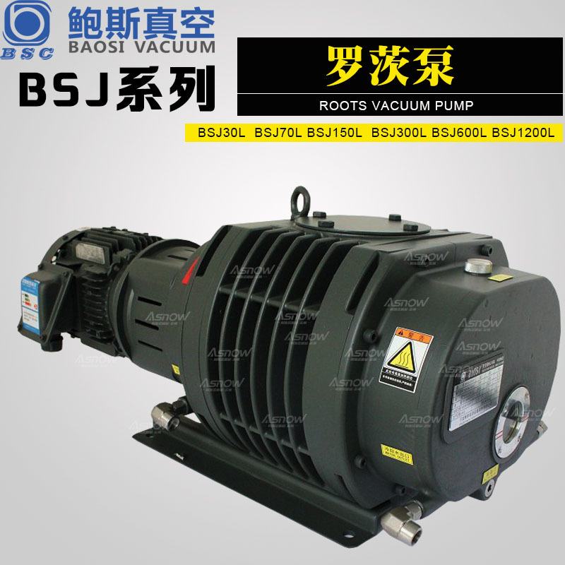 鲍斯罗茨增压真空泵BSJ70L互换爱发科罗茨泵PMB300D用于检漏设备
