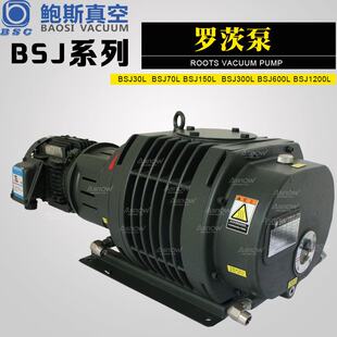 鲍斯罗茨增压真空泵BSJ70L互换爱发科罗茨泵PMB300D用于检漏设备