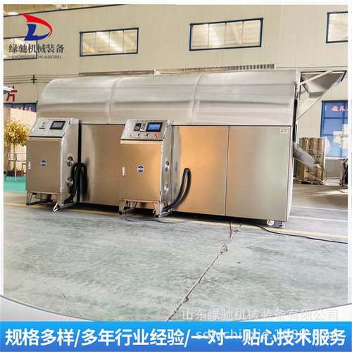 绿驰商用电磁炒货机 自动翻转连续式芝麻花生炒货流水线 燃气炒锅