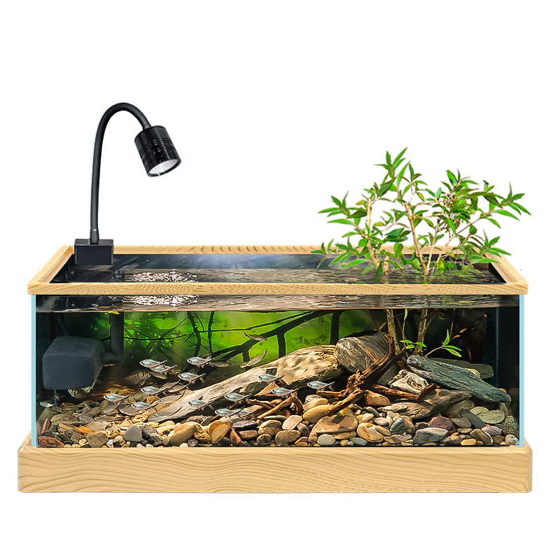 新款超白玻璃魚缸南美風(fēng)溪流造景缸家用客廳小型龜魚共養(yǎng)生態(tài)龜缸