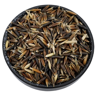 鸟粮黑麦草籽鹦鹉粮黑金麦草籽带壳燕麦虎皮牡丹鹦鹉仓鼠零食麦草