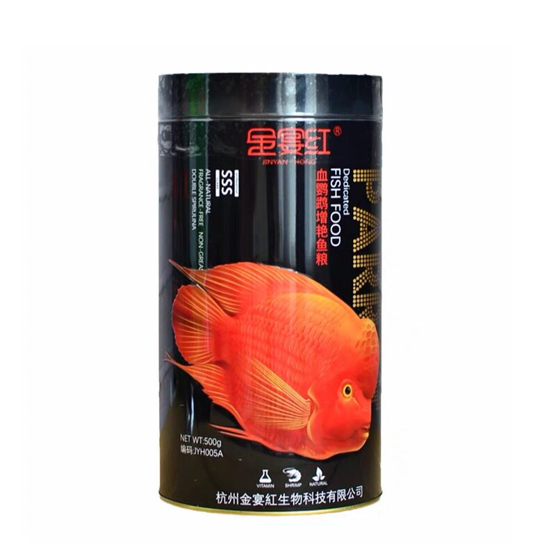 红鹦鹉鱼增红观赏鱼血鹦鹉