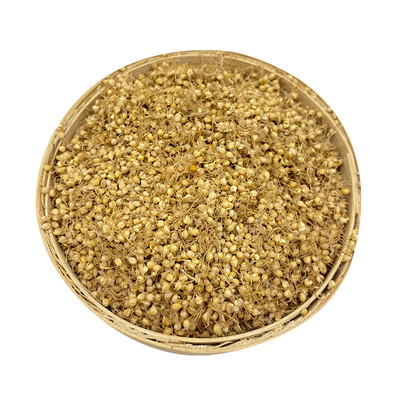 中药材小米生谷芽免费磨粉