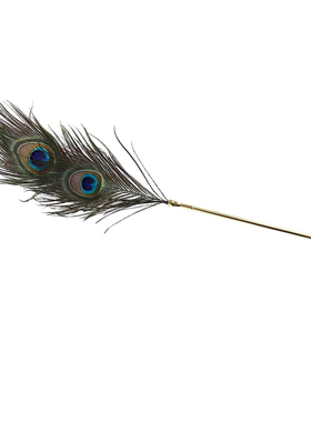 高级感孔雀翎羽毛棒装饰摆件
