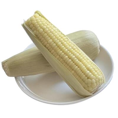 沙域香沙漠甜糯玉米全程速冻冷链