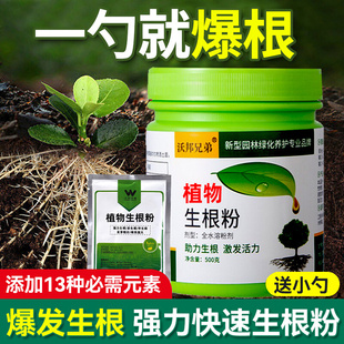 强力生根粉植物通用树木壮苗生根剂扦插移栽快速生根花肥谷生根液