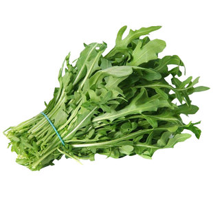 芝麻菜种子孑小青菜火箭生菜种籽四季菜籽种籽种盆栽东北臭菜菜种