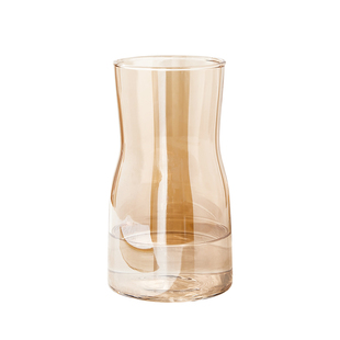 轻奢感花瓶玻璃透明水养插花高级感鲜花插瓶简约客厅桌面水培器皿