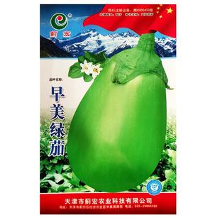 早美绿茄种籽种子苗绿茄子青圆茄青皮高产四季早中熟蔬菜种孑大全