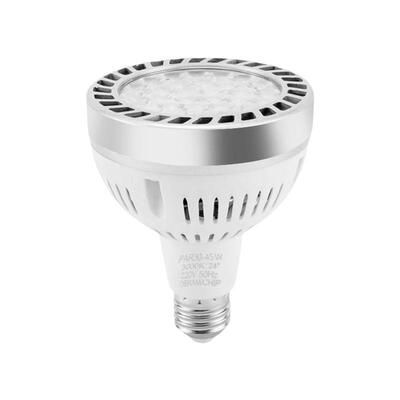 维刚220V商用e27大螺口球泡灯