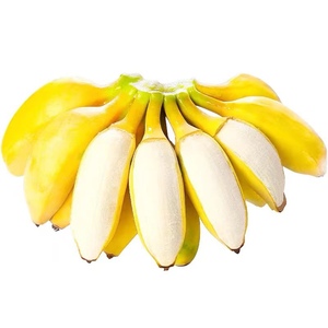 土楼苹果蕉正宗新鲜小米蕉10斤水果当季自然熟甜糯海南水果黄芭蕉
