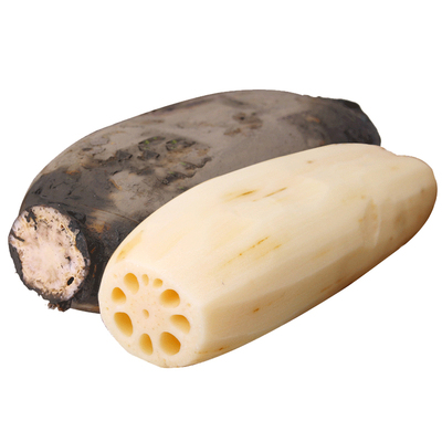 洪湖莲藕煲汤粉藕新鲜泥巴藕