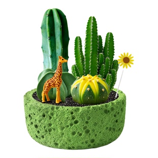 仙人掌仙人球创意造型盆景多肉植物盆栽室内办公桌面稳定情绪绿植