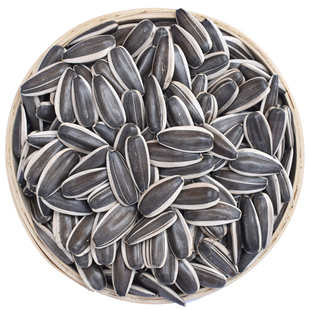 新鲜363生瓜子葵花籽新货10斤散装大颗粒原味熟五香花生瓜子零食