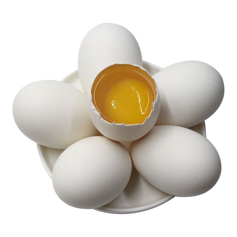 順豐包郵正宗農(nóng)家散養(yǎng)新土鵝蛋新鮮孕婦現(xiàn)當(dāng)新鮮大鵝蛋去批發(fā)12個