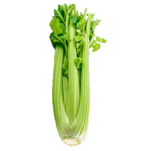 【顺丰冷链】新鲜西芹大棵半叶芹菜榨汁专用山东寿光时令蔬菜3斤5