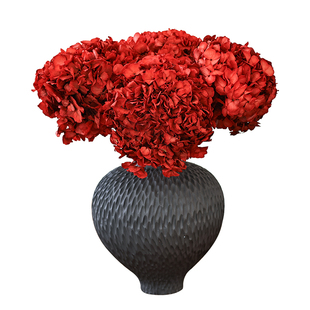 复古红色绣球干花花束客厅摆设花瓶插花天然风干高级感真花永生花