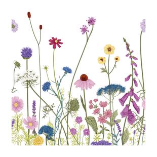 鲜花店橱窗装饰玻璃贴纸茶室氛围布置植物花窗户贴画家居厨房窗花