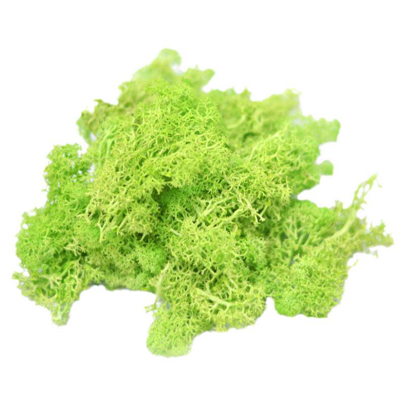 干花包包邮150g盒装精选久放不变