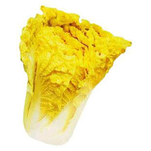 鸡蛋黄奶油大白菜种子真好吃黄心快菜籽农家田园夏秋四季播蔬菜孑