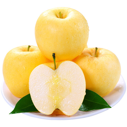 黄金维纳斯苹果正宗山东烟台新鲜平果当季水果奶油富士金帅冰糖心