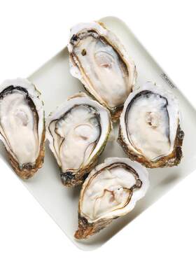 木屋烧烤湛江生蚝5个烧烤食材