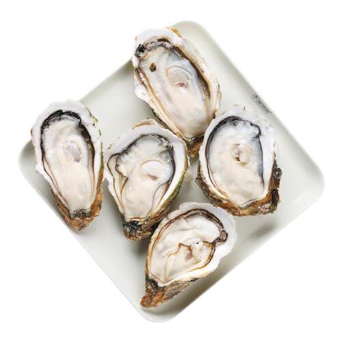 木屋烧烤湛江生蚝5个大A蚝新鲜烧烤食材户外露营自助材料特色食品