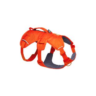 拉夫威尔2025新款汪大师狗狗背心式牵引绳中小型犬狗胸背带牵狗绳