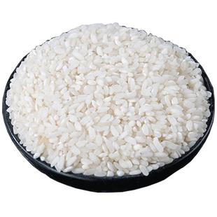 农家早籼米新早稻米陈米糙米不粘糯肠粉农家杂交炒饭专用