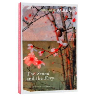 喧哗与骚动 英文原版 The Sound And The Fury 诺贝尔文学奖 福克纳 William Faulkner 英文版进口艺术教科书 Vintage Classics