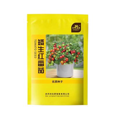 史丹利精选矮生番茄种子酸甜可口