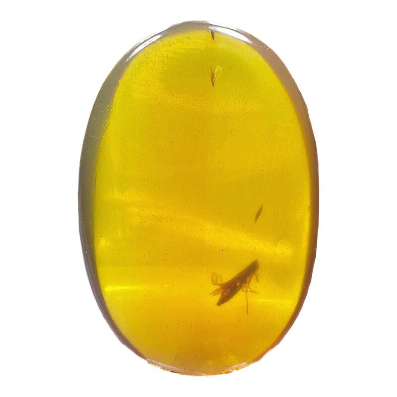 纯天然琥珀蜜蜡沫蝉昆虫化石标本