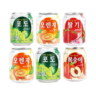 九日进口果汁饮料果肉果汁组合238ml*6罐