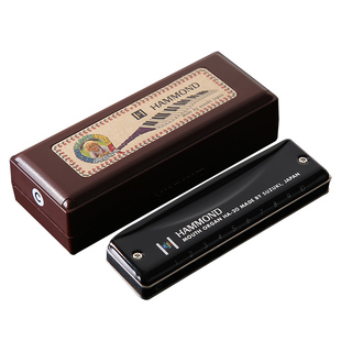 日本SUZUKI 铃木paddy爱尔兰音阶十10孔布鲁斯蓝调口琴有低音6