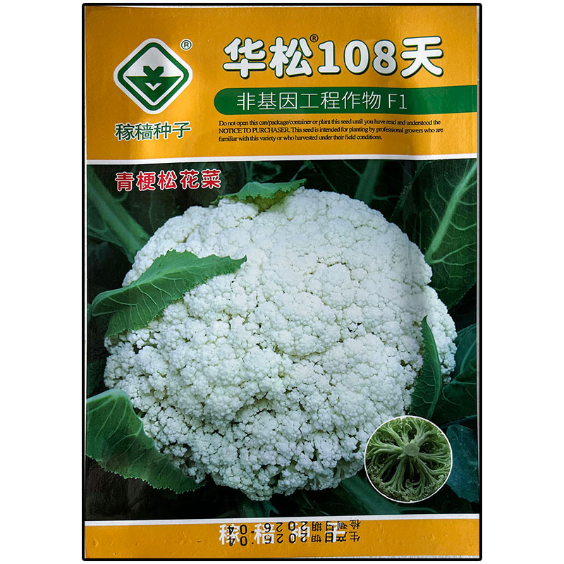 华松108天松花菜高产杂交白散花菜菜蔬菜种子孑籽别名甘蓝椰花洋