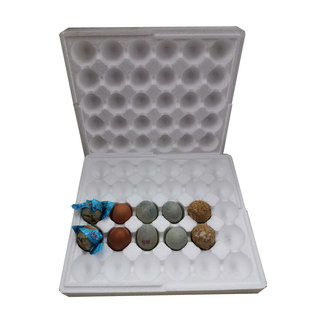 皮蛋鸡蛋变蛋灰包蛋咸鸭蛋泡沫盒泡沫箱防震泡沫蛋托加硬蛋托快递