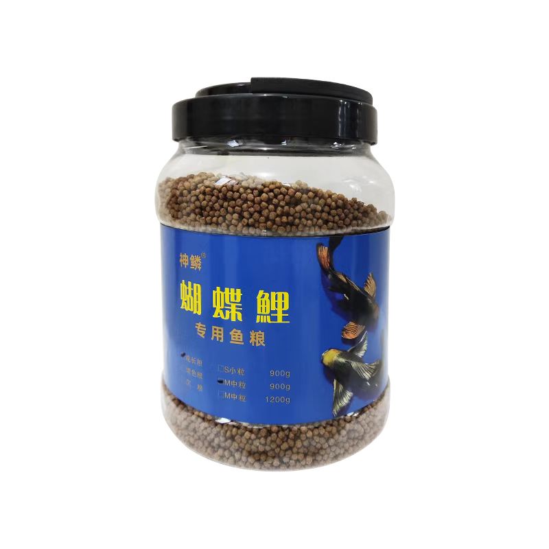 庄汇龙蝶鲤台湾蝴蝶鲤增白增体