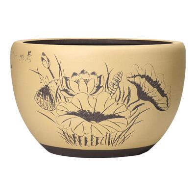 紫砂花盆睡莲缸荷花缸大树发财树